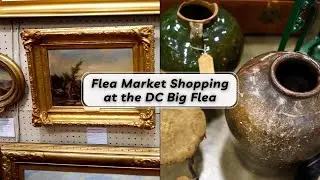 FLEA MARKET SHOPPING | Come Thrifting with Me at the DC BIG FLEA