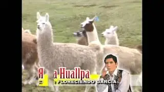 FLORECIENDO GARCIA - ROCYA HUALLPA