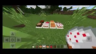 REVIEWING A MOD CALLED: PLACEABLE FOOD ITEMS