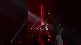burna boy live performance hallenstadion in zurich