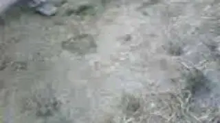 Salto 1 metro