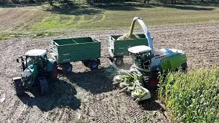 CLAAS JAGUAR 940 beim Mais häckseln / Abfaher CLAAS AXION 830, FENDT 724 & FENDT 828 / 4K