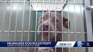 Milwaukee animal control agencies clash over proposed pet ordinance