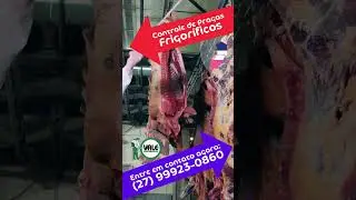 Controle de Pragas em Frigor&iacute;ficos