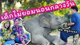 มีนา พาเพลิน 31 ธันวาคม 2567 ผลของการไม่นอนกลางวัน หนูเลยมาง่วงนอนตอนไลฟ์