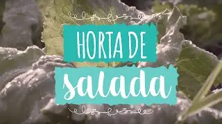 Como plantar alface e rúcula - Minha Horta - ISLA Sementes