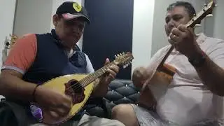 Cumaral Bandolina