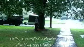 Winchester man rescues blind disabled cat from tree