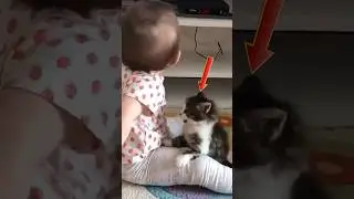 Adorable Cats And Kids #shorts