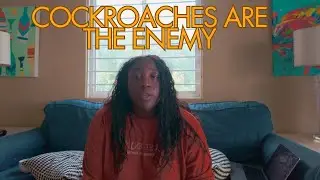 Cockroaches & Monkey Sightings, HopScotchFetch Food Review | Burnt Out in Barbaods