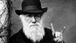 Darwin e Bergson, Utilitarismo e Positivismo, Weber e Spengler - #Filosofia 22