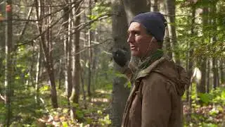 Chaos Walking  - Exclusive 
