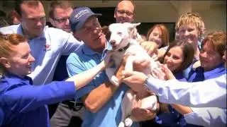 The Tour De Woof | Jetpets AU
