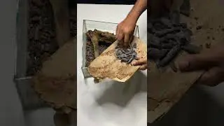 You should try making a terrarium at least once in your life. #terrarium #makingterrarium
