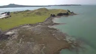 Musick Point - Xiaomi 4k - New Zealand