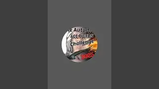 Autumn Ace Pigeon Challenge  Hotspot 3 basketing