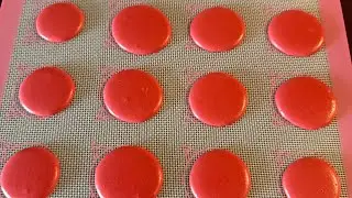 Holiday baking Macarons.  Dog recovering from dental surgery.  