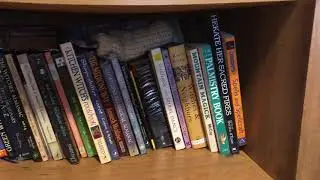 Witchy Library Tour