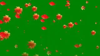 Falling Leaves green screen | no copyright|Leaves rain| leaves falling effect | free download