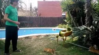 vfx en blender robot