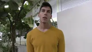 A Dunaferr suli