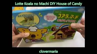 Lotte Koala No Machi DIY Chocolate House ( Not so Perfect )