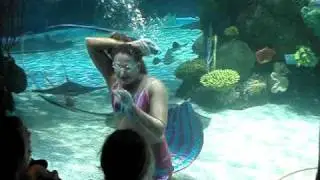 mermaid swimming at The Aquarium at the Silverton Hotel/Casino