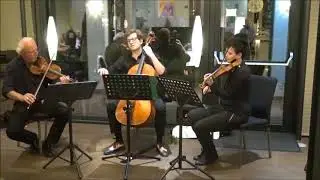Alternative Strings Trio - 