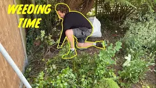 Clearing this JUNGLE Of A Flower Bed | Satisfying Deweeding