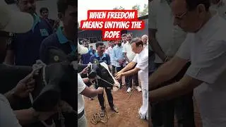 This Independence Day: Freedom for All.#FreedomForAll #Milking #AnimalWelfare