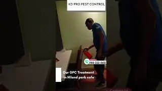 Our GPC Treatment | KD Pro Pest Control #pesttreatment #advertising #ant #pestcontrol #bedbug#insect