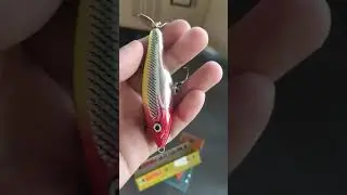 RAPALA SKITTER PROP Popper