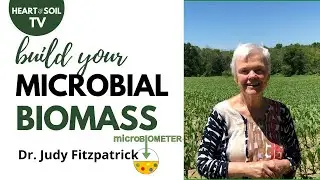 SOIL HEALTH - Build Your Microbial Biomass with Dr. Judy Fitzpatrick, microbiologist #soilscience