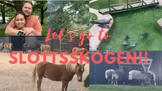 Slottsskogen || FamilyPicnic || Zoo|| Relaxing Place ||Summer