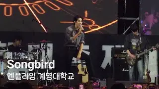 [4K] 엔플라잉(N.Flying) - Songbird (Korean.ver) | 대학축제 | 계명대학교 축제 | Keimyung Univ. Festival | 240927