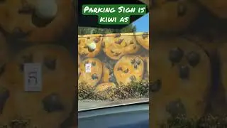 Kiwi as parking sign 😳😎 #kiwi #newzealand #sign #shorts