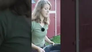 Совет №1 для лошадей породы Бадди Соур