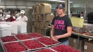 Behind the scenes Veishea cherry pies