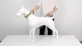 Organic Bamboo Dog Collar
