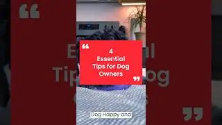 4 Essential Tips for Dog Owners #dogcare #tips #dogtips #pet #petcare #petcaretips #animals #funny