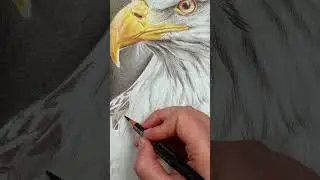 Let's Draw... An Eagle