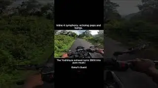 Z800 Rev Madness | Turn up the VOLUME of Inline-4 | Gokul's Quest | Adrenaline-Rides, Speeds #rides