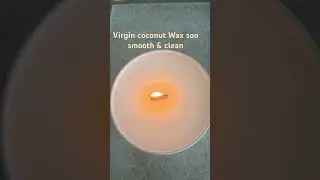 Testing virgin coconut soy wax from Makesy burns clean and nice top.
