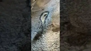 Pinhole in the radiator and cracked coolant reservoir. ￼ 1988 Ford Thunderbird turbo coupe.