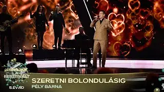Szeretni bolondulásig (PÉLY BARNA) | Csináljuk a fesztivált! | ELŐDÖNTŐ | 5. ÉVAD