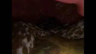 Into belly [Vore]