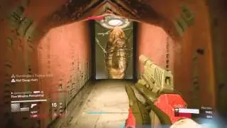 I think I found my new favorite gun! 7.3 K/D with Nerwin's Mercy!