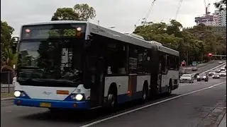 [Hillsbus, Forest Coach Lines, Busways, Transdev, Transit Systems] Bus Spotting at Macquarie Centre