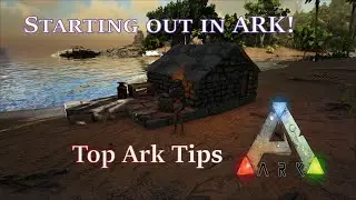 Starting out in Ark Survival Evolved! Ark tips