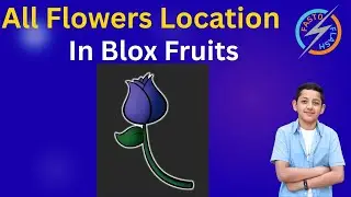 All Flower locations in Blox Fruits 🌹